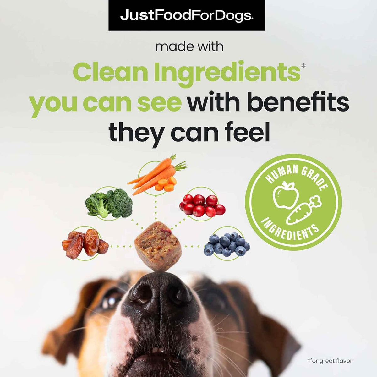 JustFoodForDogs Skin & Allergy Care Soft Chews Supplement for Dogs, Seasonal Allergies, Itchy Skin