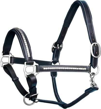 Exion Leather Horse Halter with Padding & Clincher Studs – Adjustable Quick‑Release Crownpiece