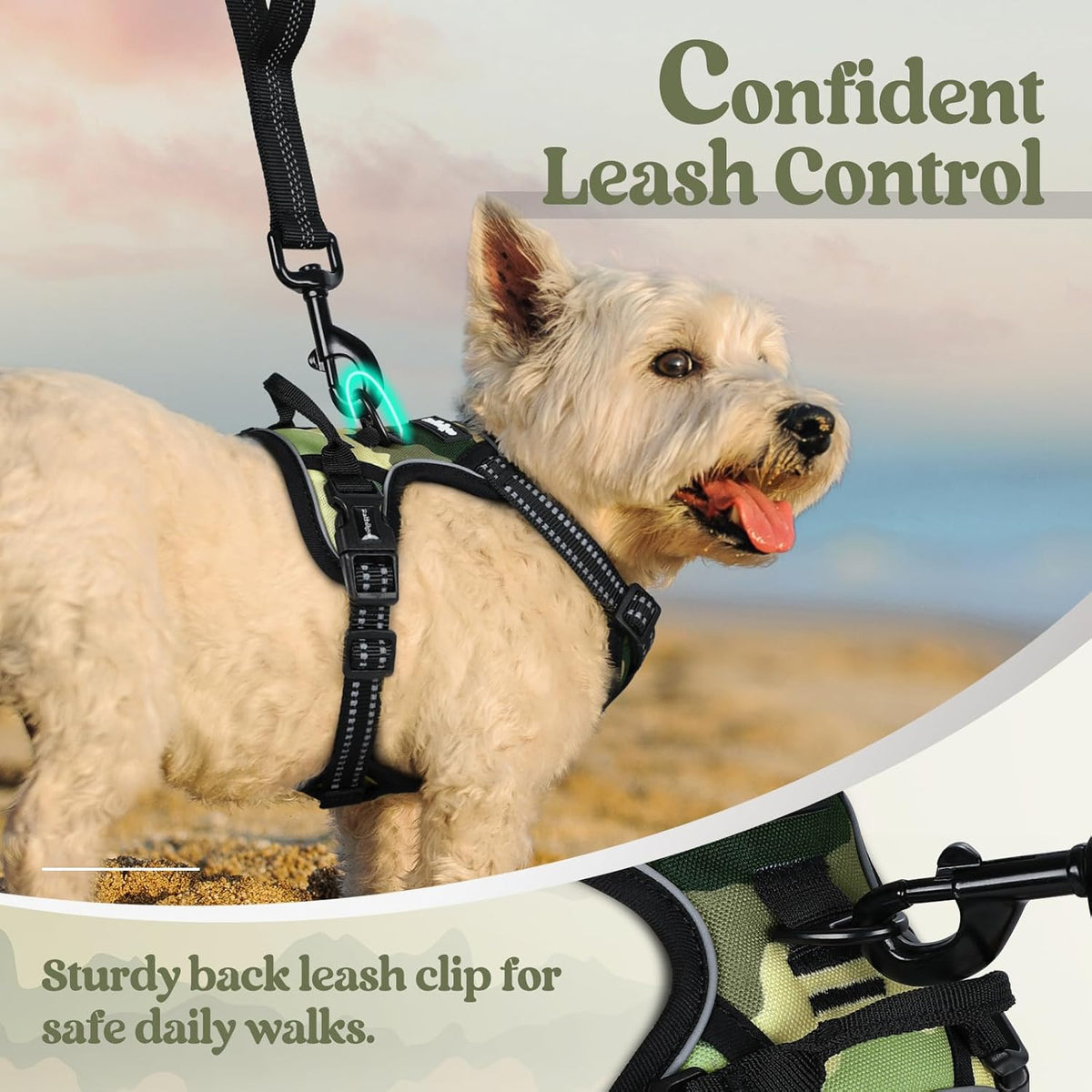 rabbitgoo Dog Harness No Pull with 2 Leash Clips, Adjustable Soft Padded, Reflective Oxford No