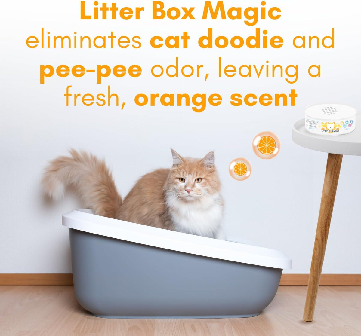 Cat Litter Deodorizer Jar (Orange Scent, 16 Oz, Pack of 1) - Cat Litter Odor Control Gel In A Jar