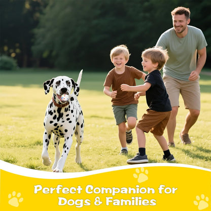 Dog Ball, 2.5 inch Dog Toy for Aggressive Chewers,ETPU Material Durable Ball for