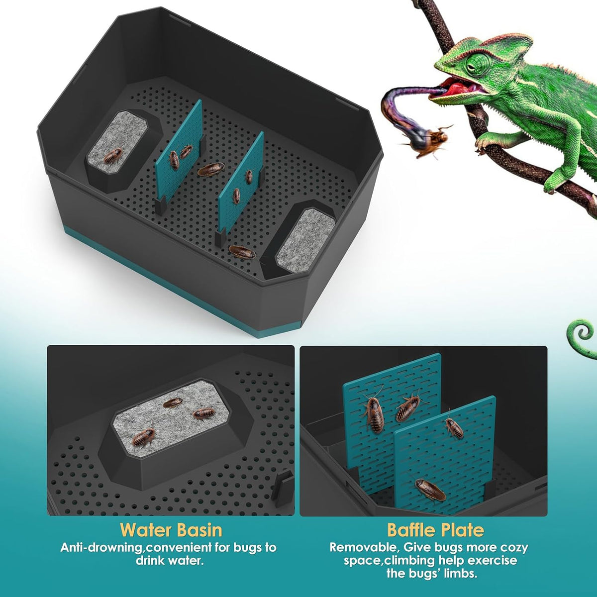 Multi Purpose Insect Habitat for Crickets, Dubia Cockroaches, breadworms, and Silkworms, with