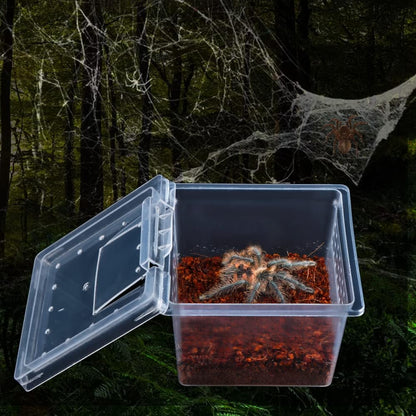 10 Pack Spider Terrariums Breeding Box Small Reptile Hatching Container Acrylic Feeding Box for
