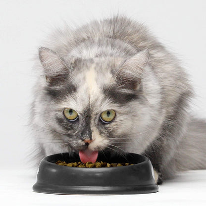 Open Farm Pasture-Raised Lamb Grain-Free Dry Cat Food, Humanely Raised Lamb Recipe with Non-GMO