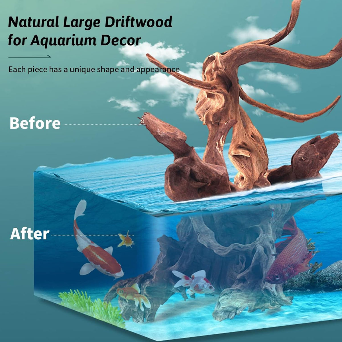 Hamiledyi 2 Pcs Large Driftwood for Aquarium 8-18 Inch Driftwood Branches Reptiles Aquarium
