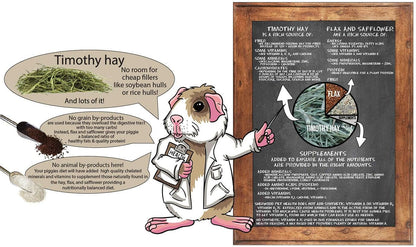 Sherwood Pet Health Adult Guinea Pig Food Measured Timothy Pellet (10 Pound) Hay-Based, Grain-Free