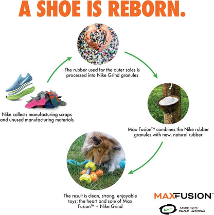 Max Fusion with Nike Grind, Arlee Spike Bone Dog Toy, Chew Toy for Play, Fetch, Tug, L