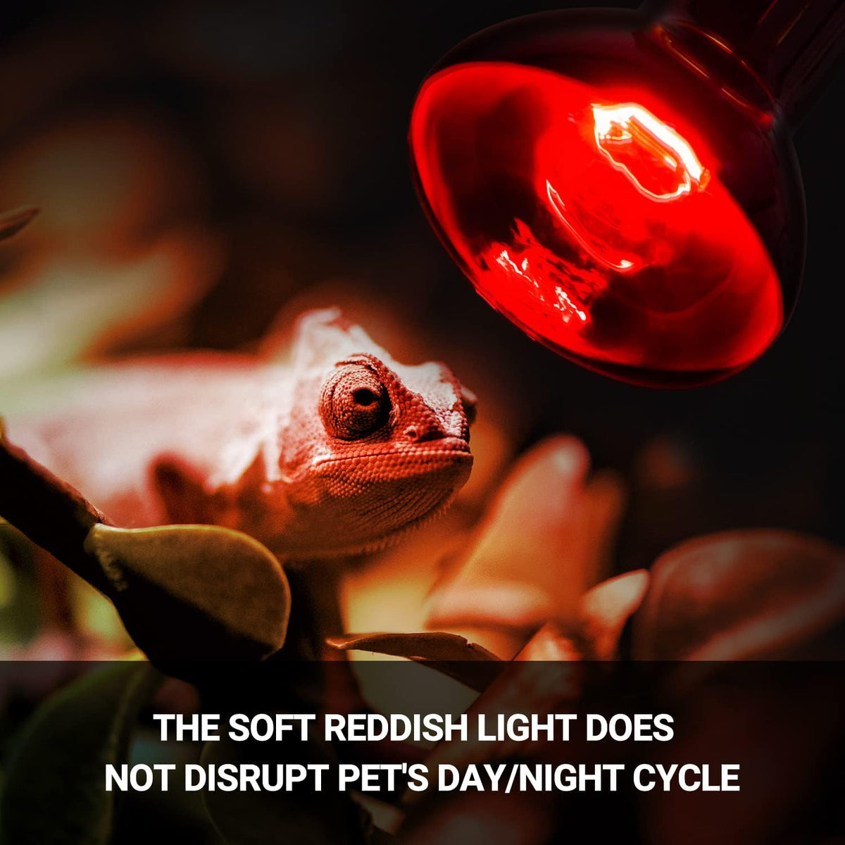 REPTIZOO 75W Reptile Heat Lamp Bulb, 2PCS Day & Night Basking Spot Light Combo Pack Includes