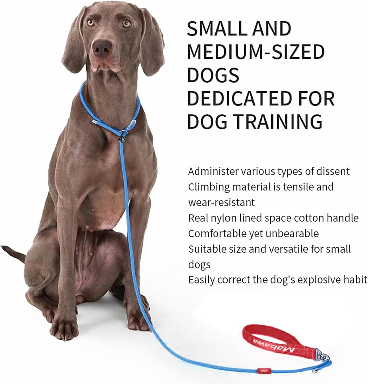 Dog Anti-Slip Leash 5FT with Metal Stopper - Durable No-Pull Training Lead for Small, Medium &