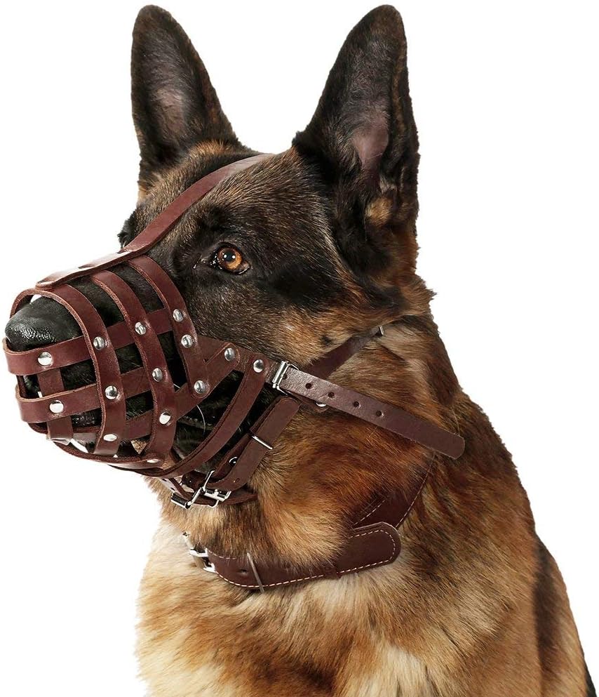 CollarDirect Dog Muzzle German Shepherd Dalmatian Doberman Setter Leather Basket Medium Large