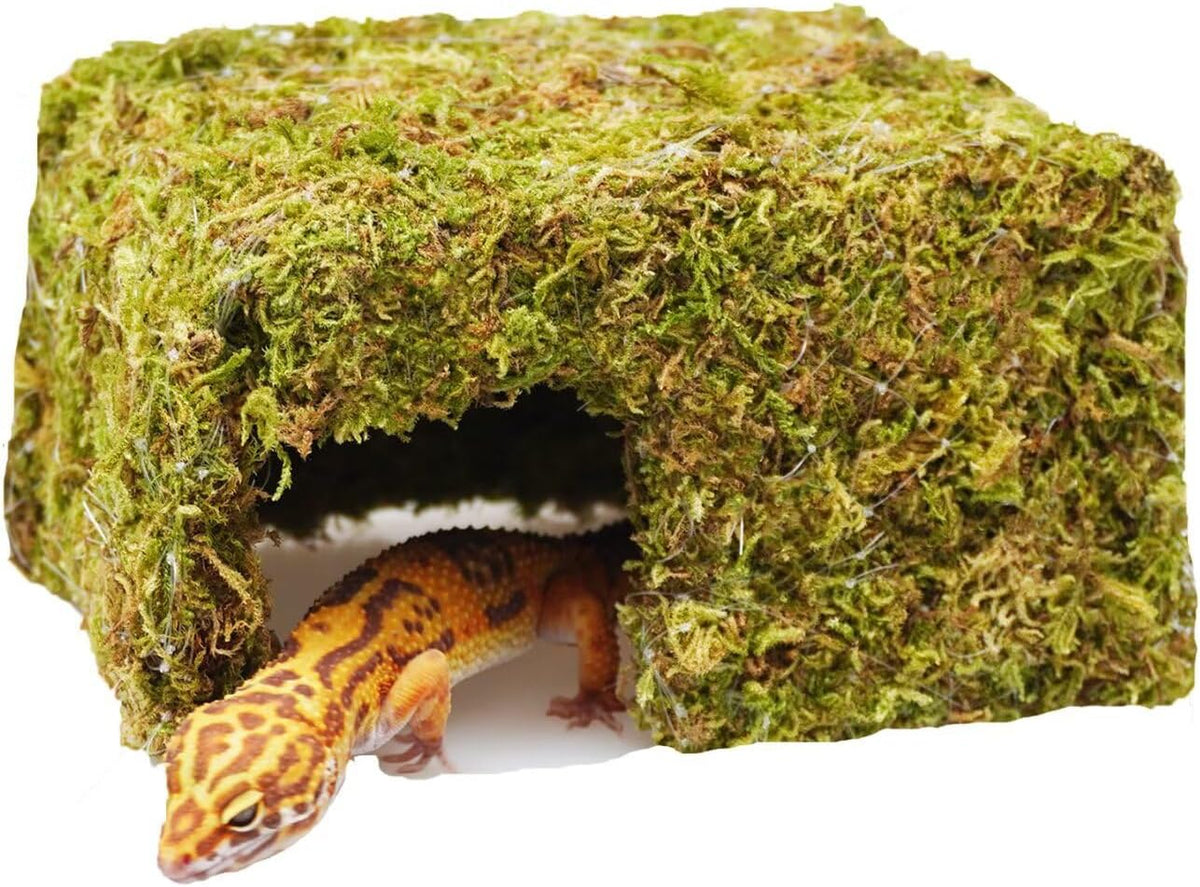 Leopard Gecko Tank Accessories, Cute Reptile Hideout Cave, Essential Tank Terrarium Habitat Decor
