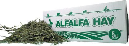High Desert Alfalfa Hay for Rabbits, Guinea Pigs, Chinchillas & Small Pets – Protein-Rich Natural