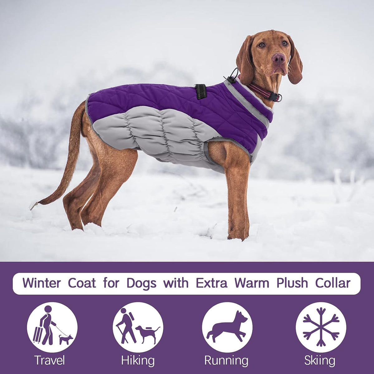 FUAMEY Dog Coat for Small Dogs,Waterproof Dog Winter Jacket with Harness Built in Puppy Cold