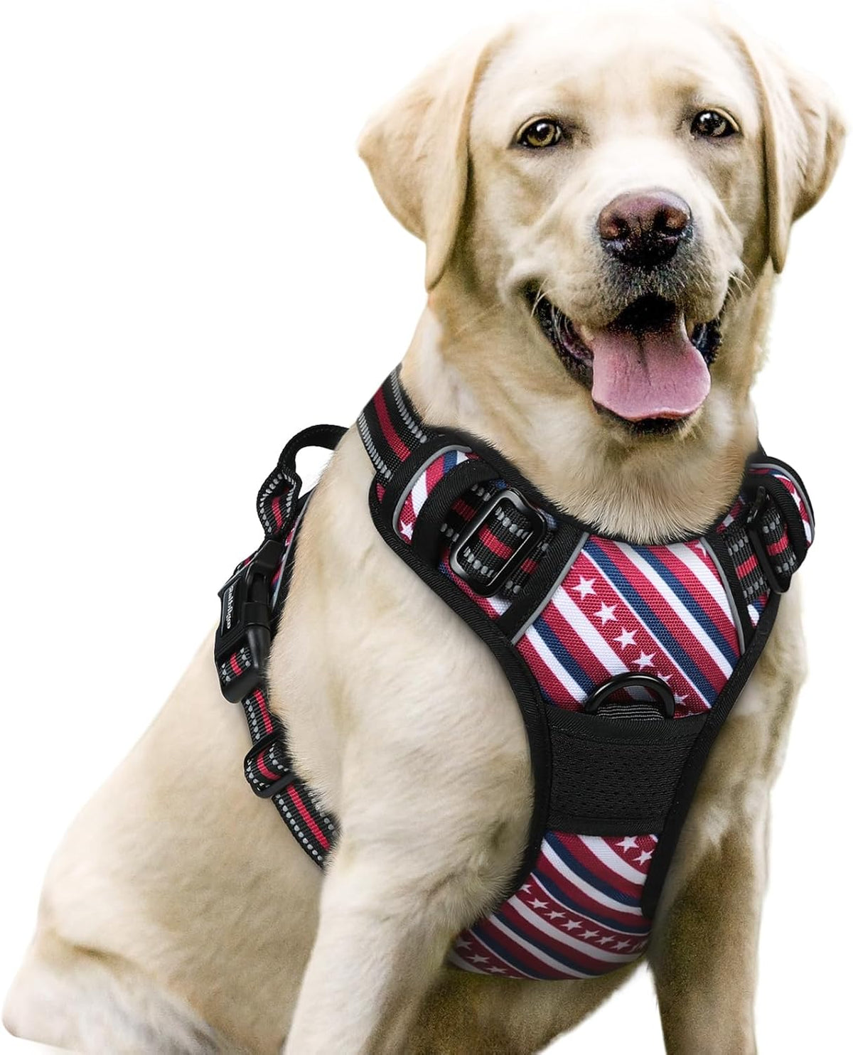 rabbitgoo Dog Harness No Pull with 2 Leash Clips, Adjustable Soft Padded, Reflective Oxford No