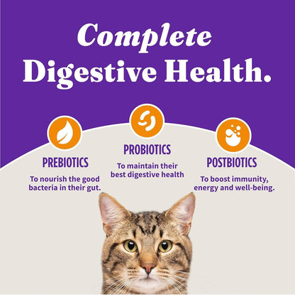 Halo Holistic Cage Free Chicken Cat Food, Healthy Grains Dry Cat Food, Complete Digestive Health