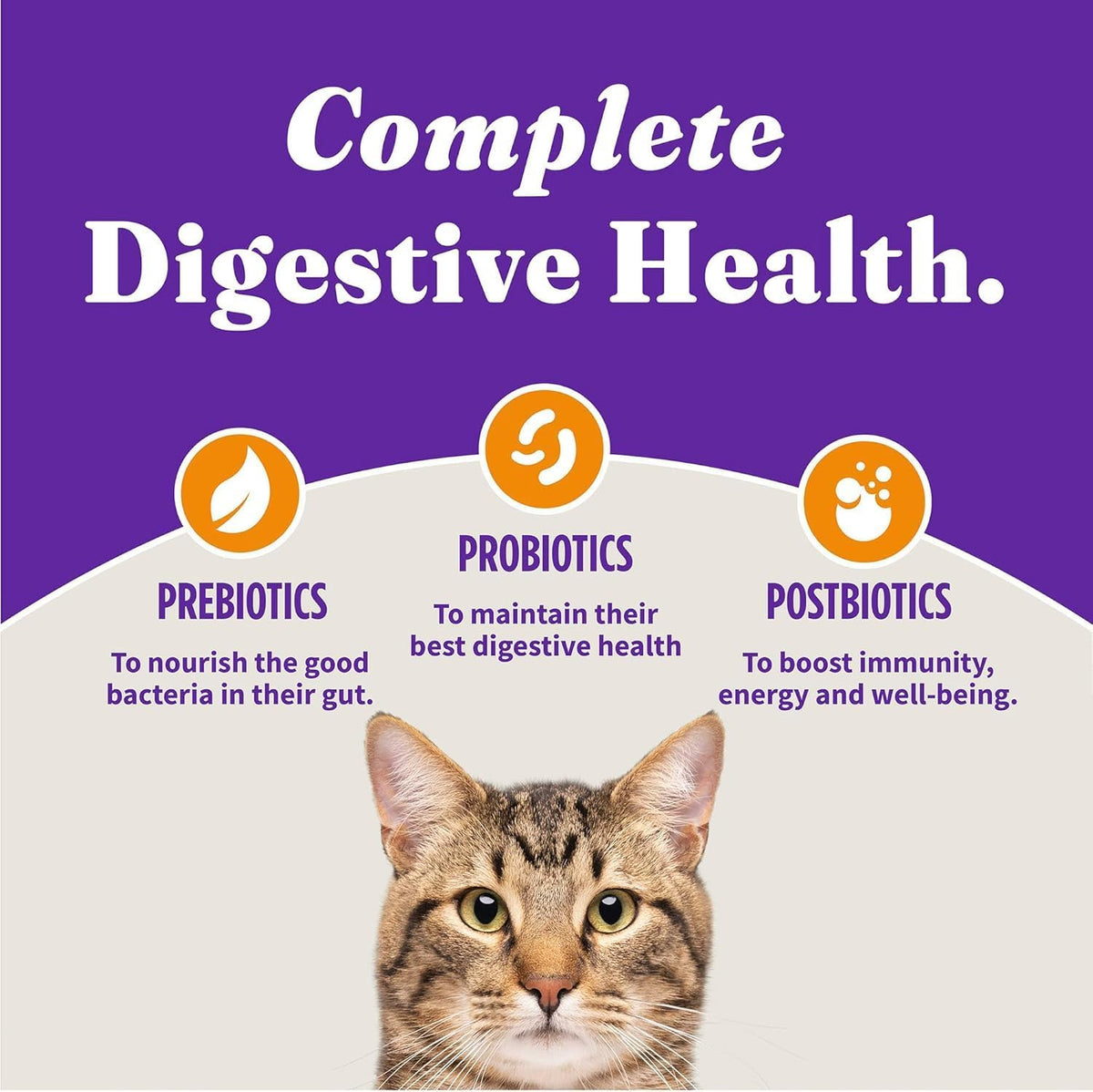 Halo Holistic Cage Free Chicken Cat Food, Healthy Grains Dry Cat Food, Complete Digestive Health