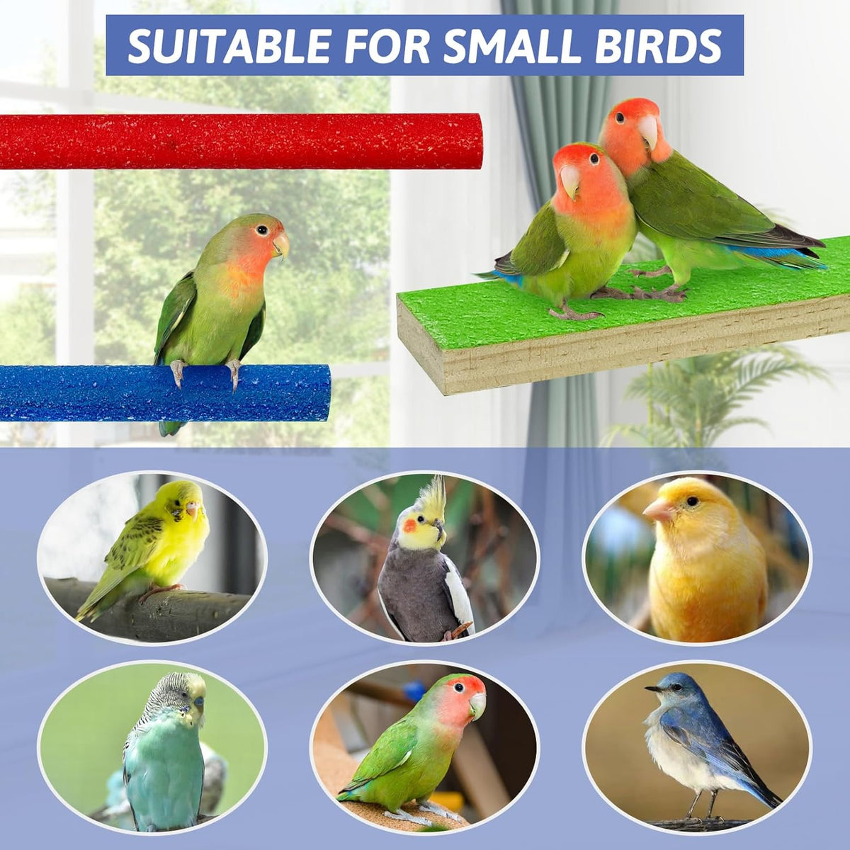 Hamiledyi 5 PCS Bird Perch Stand - Wooden Parrot Perch Stand with Colorful Sand Paw Grinding Stick