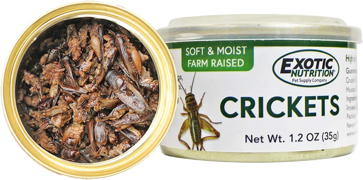 Canned Crickets (1.2 oz.) - Healthy High Protein Insect Treat - Hedgehogs, Sugar Gliders, Reptiles