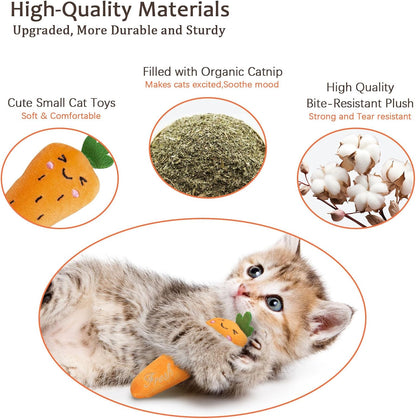 Catnip Cat Toys, Interactive Indoor Cat Nip Toy Kitty Kicker, Dental Kitten Chew Toy, 5 Pack