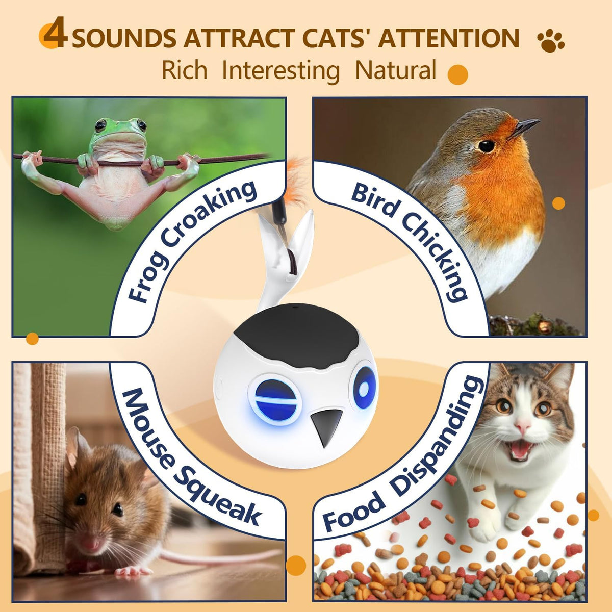 ORSDA Cat Ball Toys, Interactive Cat Toy for Indoor Bored Indoor Cats Kitten Toys, Automatic