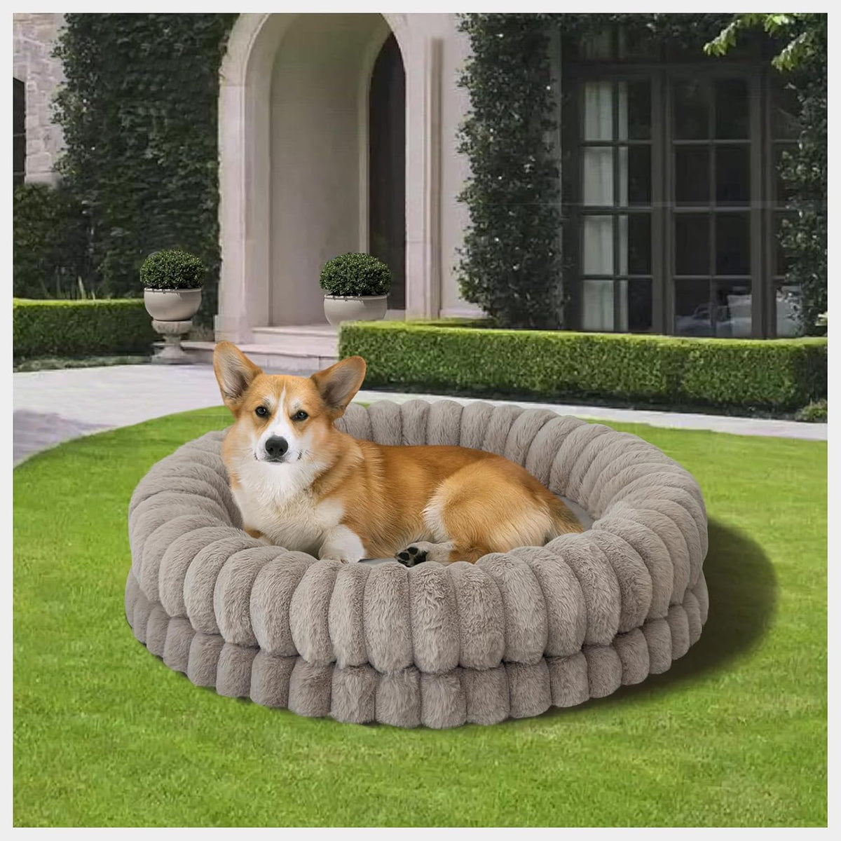 BALANCE Luxury Donut Dog Bed, 30 Inches Round Dog Bed Medium Size Dogs Washable, Orthopedic Calming