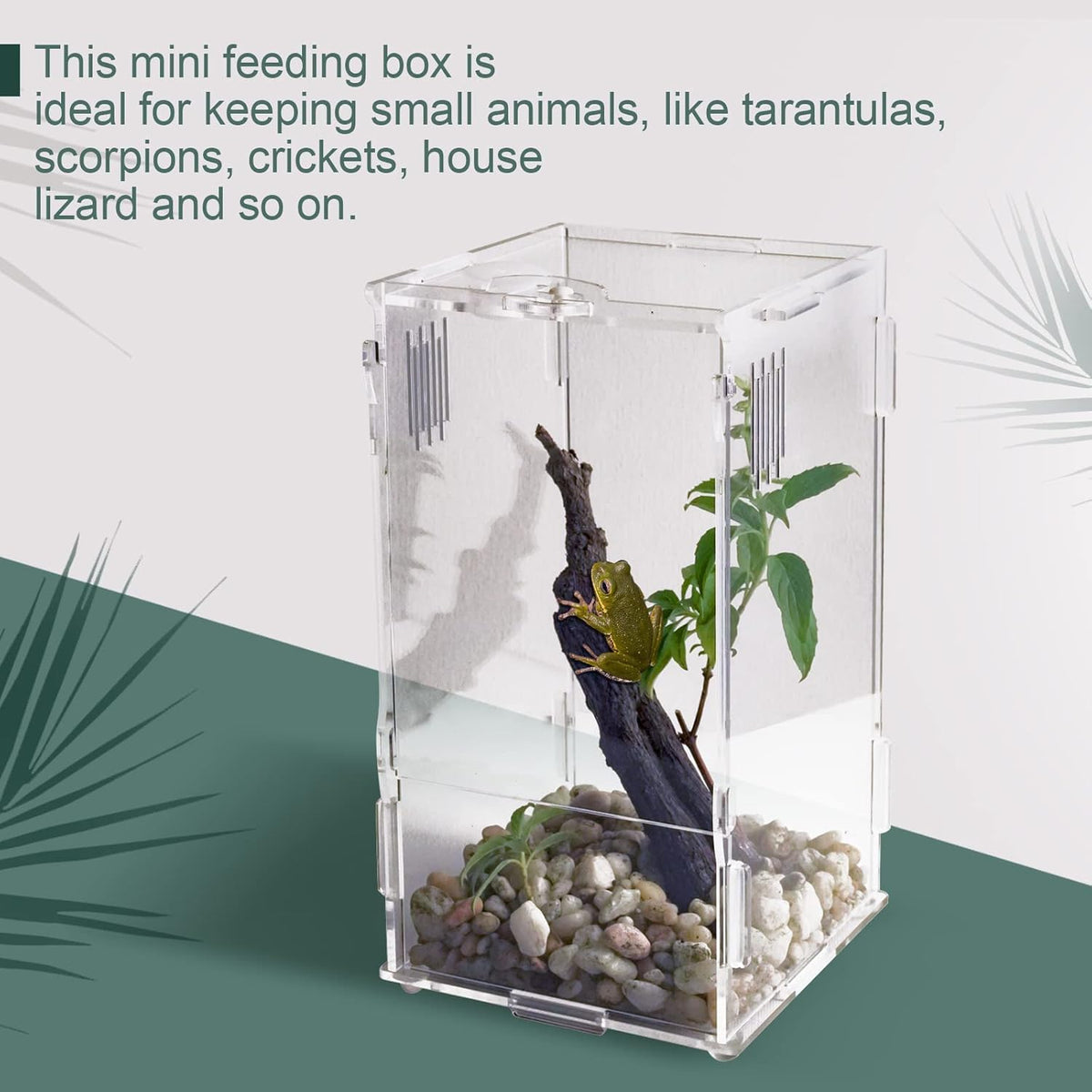 BETAZOOER Acrylic Mini Reptile Tank Habitat Transparent Terrariums with Locking Latch Suitable for