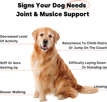 Joint & Recovery | 2-in-1 Joint & Muscle Chews. Help Reduce Pain & Increase Daily Activity. Helps