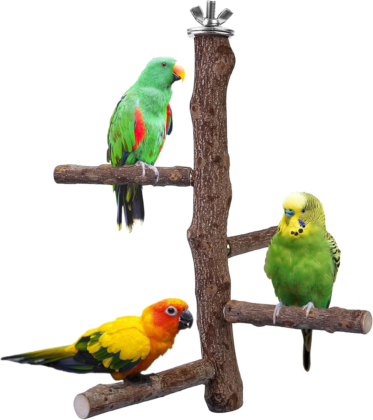 Bird Perch Stand Toy, Natural Wood Parrot Perch Bird Cage Branch Perch Accessories for Parakeets