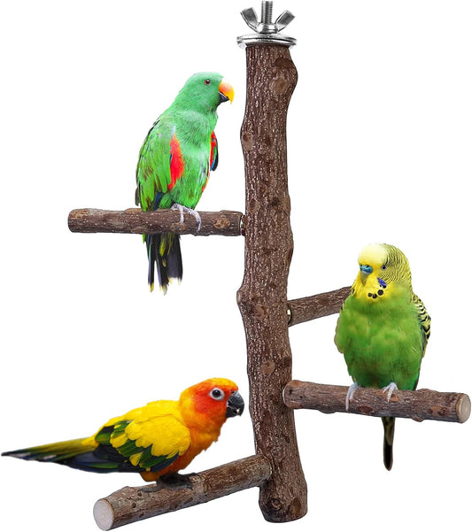 Bird Perch Stand Toy, Natural Wood Parrot Perch Bird Cage Branch Perch Accessories for Parakeets