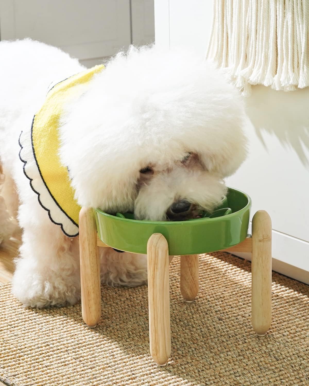LE TAUCI Ceramic Slow Feed Dog Bowls, Elevated for Small Breeds, Anti-Gulping, Non-Slip, 6 inch
