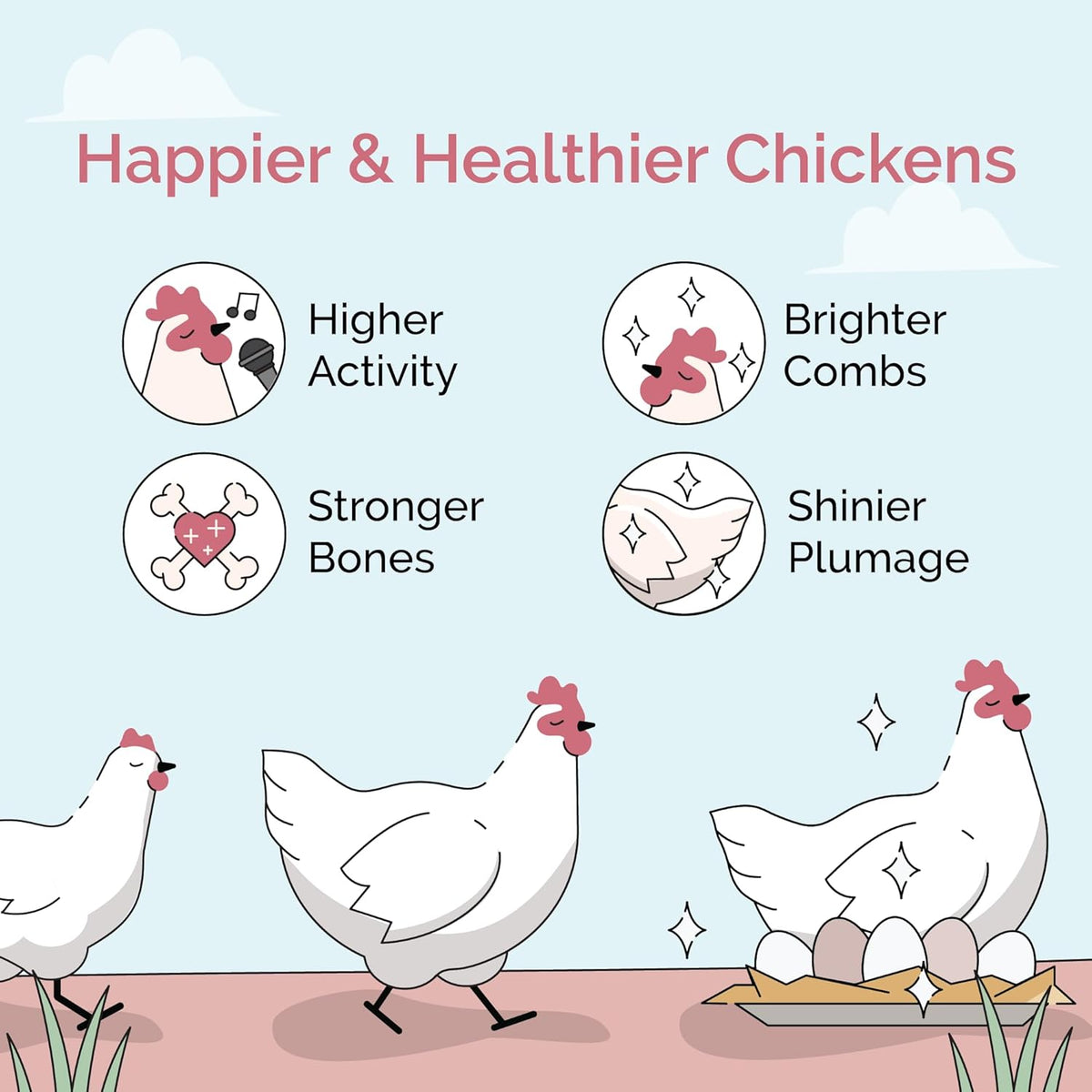 Organic Chicken Feed – Layer Mash, Non-GMO, USA Grown, 16% Protein, Corn-Free, Soy-Free