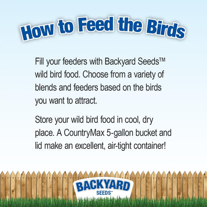 CountryMax Backyard Seeds Black Oil Sunflower for Wild Birds (50 Pounds)