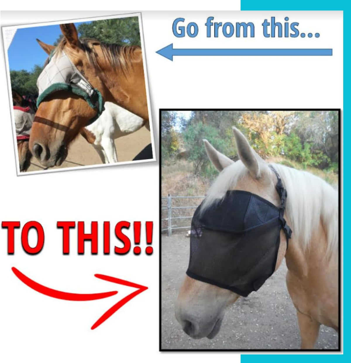 95% UV Eye Protection (Pony) Standard Horse Fly Mask - Help with Uveitis, Corneal Ulcer, Cataract