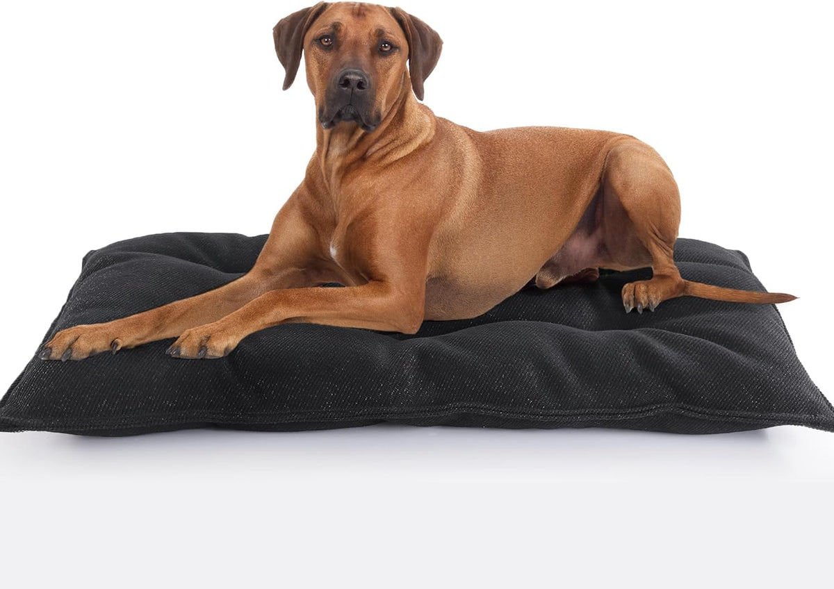 MABOZOO Dog Bed, Indestructible Chew Proof Pet Bed Mat, Durable Polyester, Large 35x22 inches