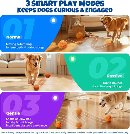 Dog Balls: Interactive Dog Ball Auto Rolling - Interactive Dog Toys for Aggressive Chewers - Bouncy