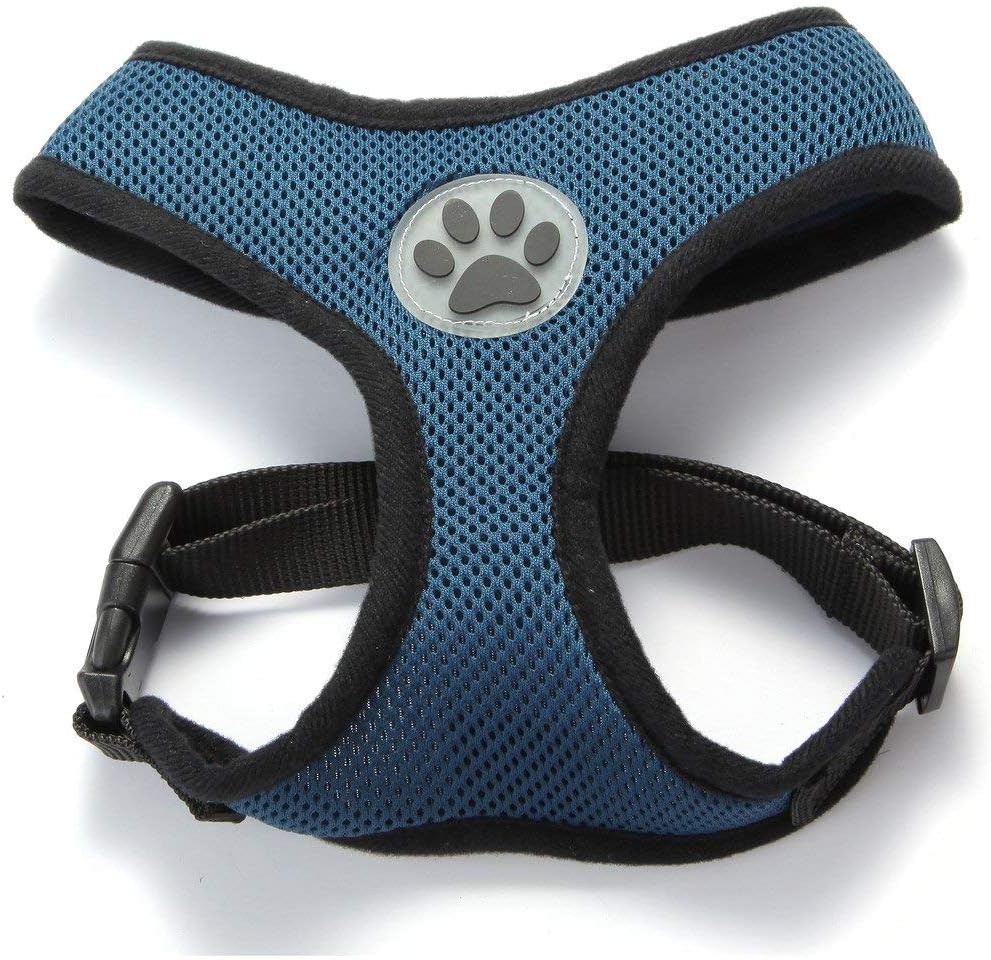 BINGPET Dog Vest Harness -Light Weight Breathable Sports Mesh - Pet Adjustable Harness Puppy Padded
