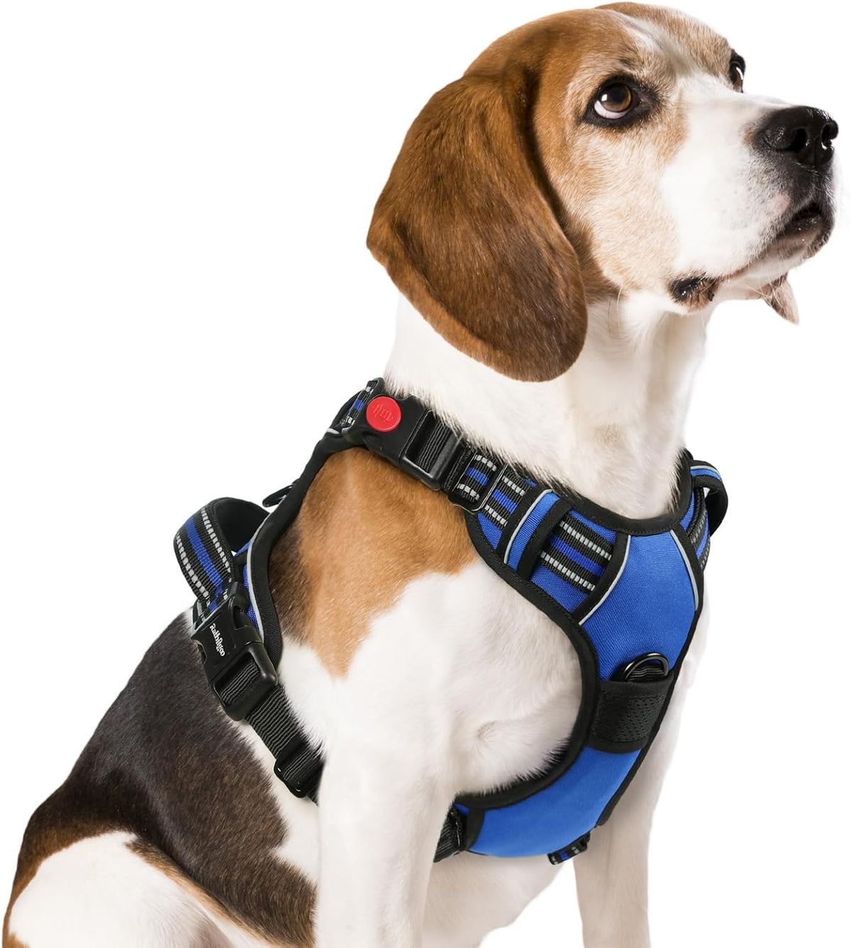rabbitgoo Dog Harness Medium Sized, No Pull Pet Harness with 3 Buckles, Adjustable Soft Padded Vest