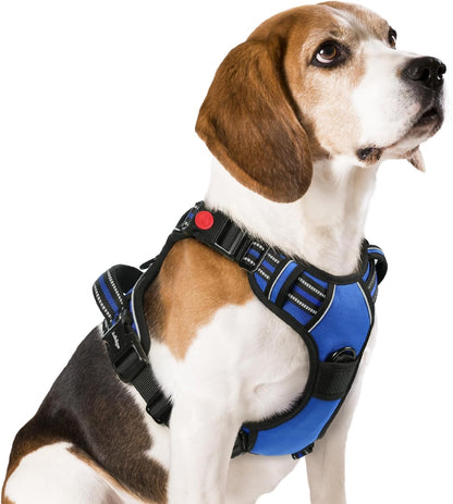 rabbitgoo Dog Harness Medium Sized, No Pull Pet Harness with 3 Buckles, Adjustable Soft Padded Vest