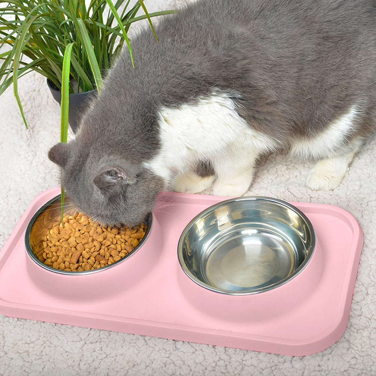 Cat Food Bowls, Cat Bowls Non-Skid and Non-Spill Silicone Pads with PP Stand, Removable Stainless