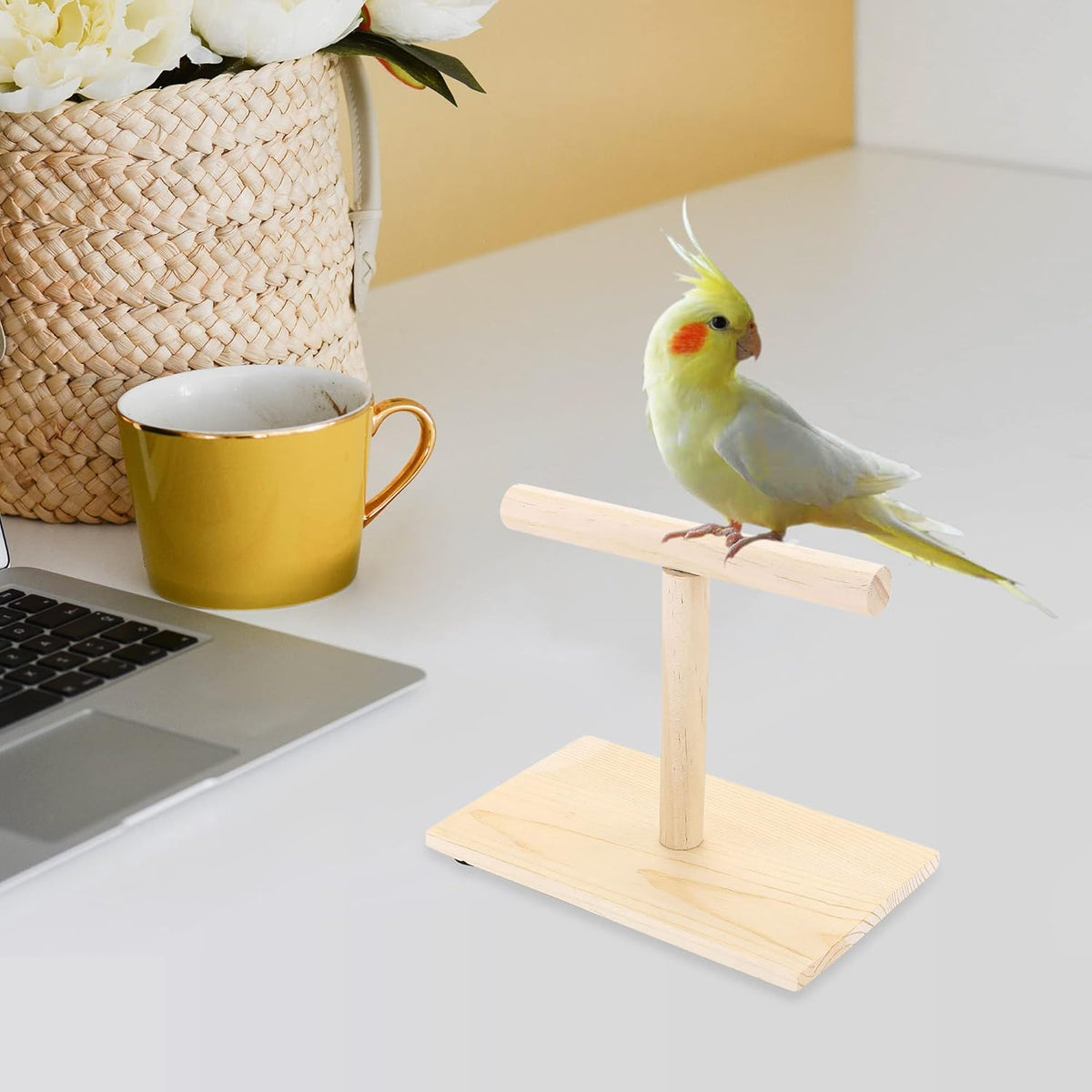 Bird Perch Stand, Bird Training Portable Tabletop Platform, Parrot Bird Cage Toy Gym Accessories