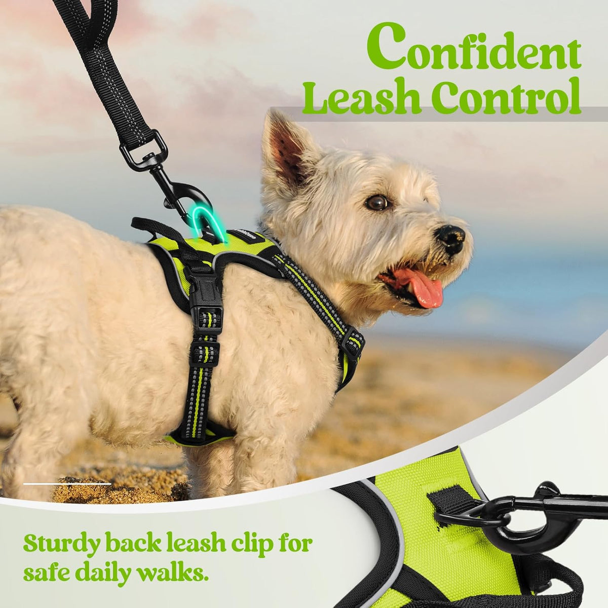 rabbitgoo Dog Harness No Pull with 2 Leash Clips, Adjustable Soft Padded, Reflective Oxford No