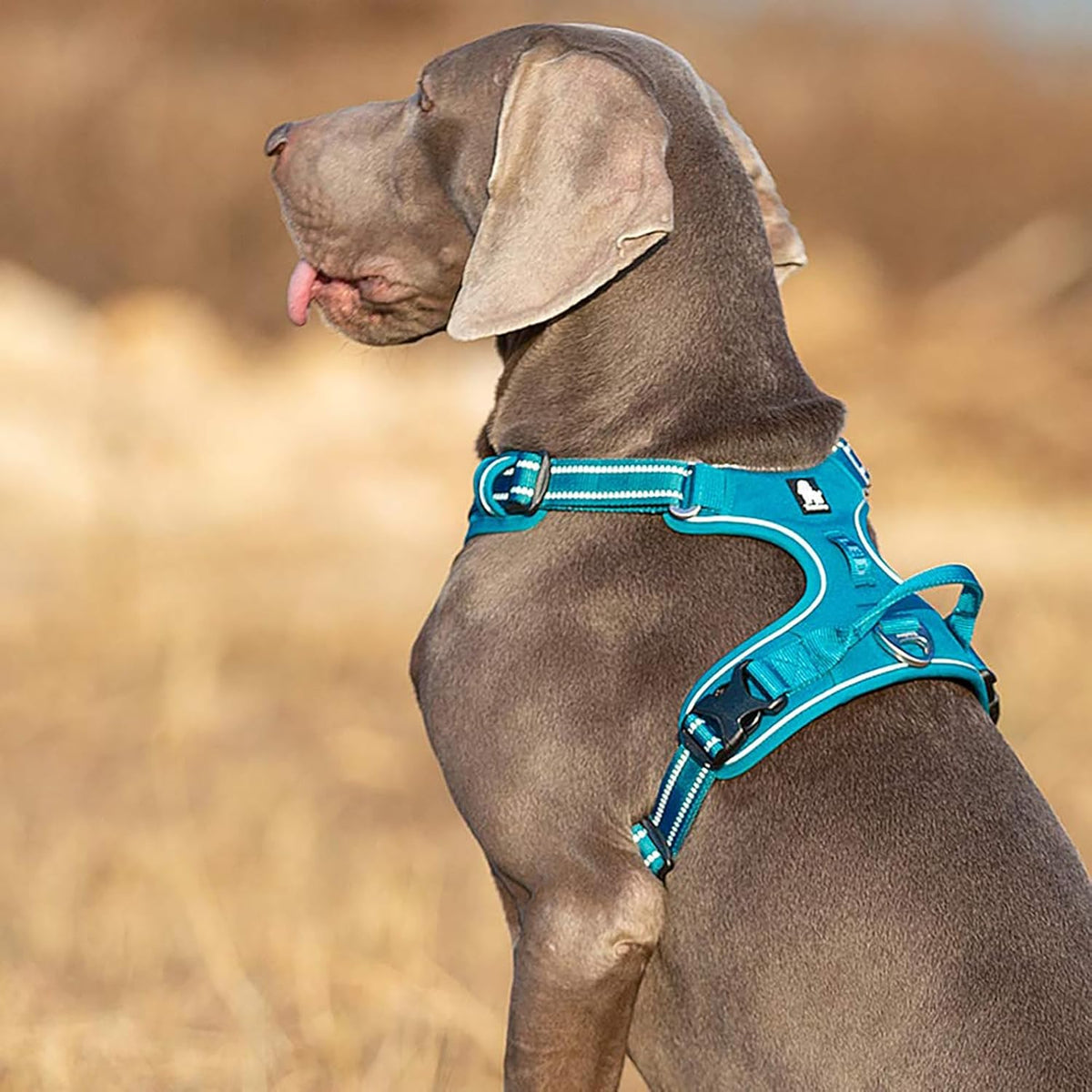 TRUE LOVE Dog Harness No Pull Nylon Reflective Pet Harness Adjustable Comfortable Control Step-in