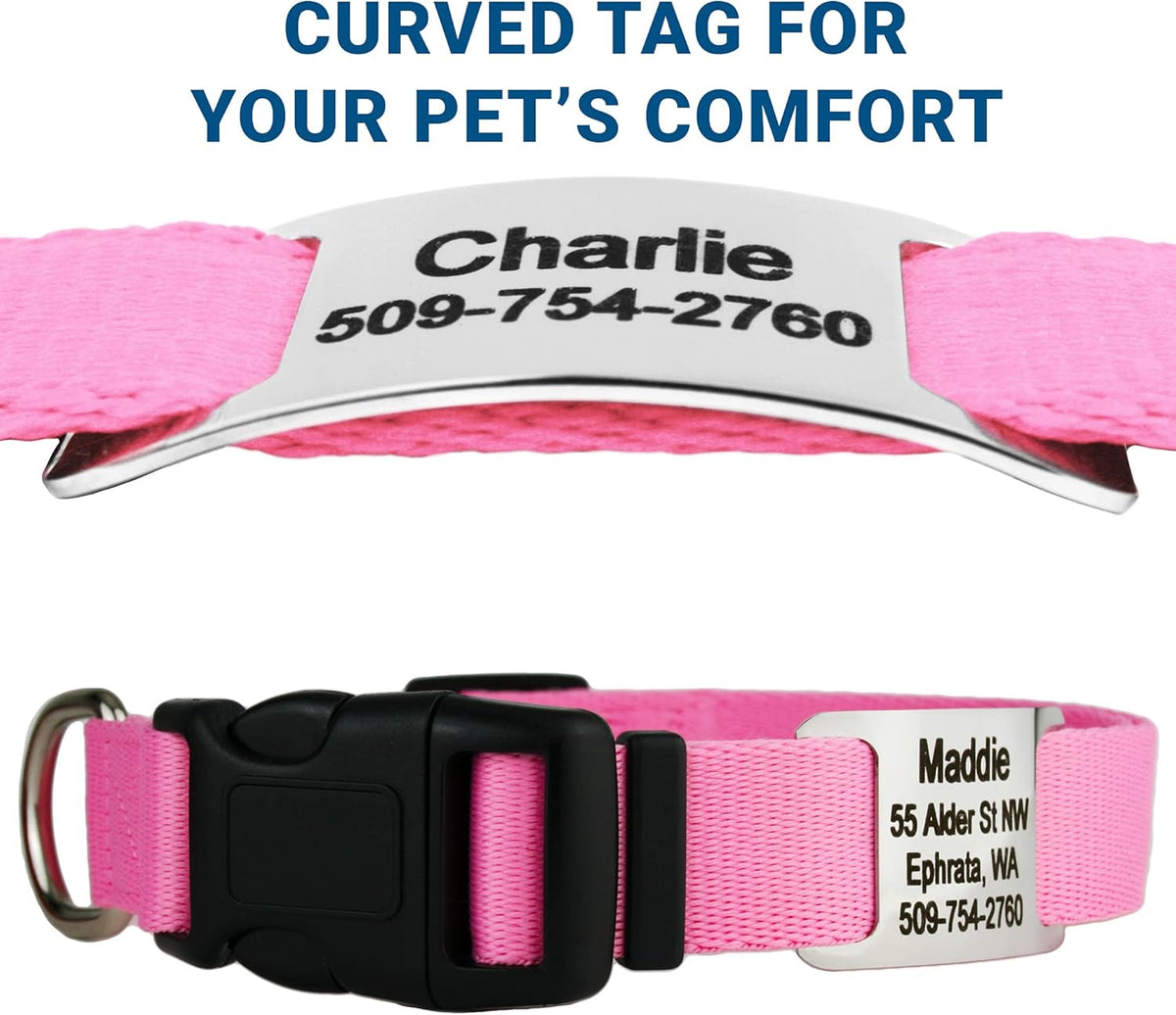 GoTags Personalized Dog Collar with Nameplate, Adjustable Dog Collar with Custom Engraved Slide On