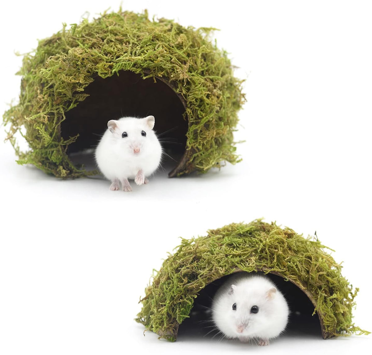 Hamster Hideaway/Hideout,Mossy Cave Hide,Hamster House/Hides,Hamster Cage Accessories for Gguinea