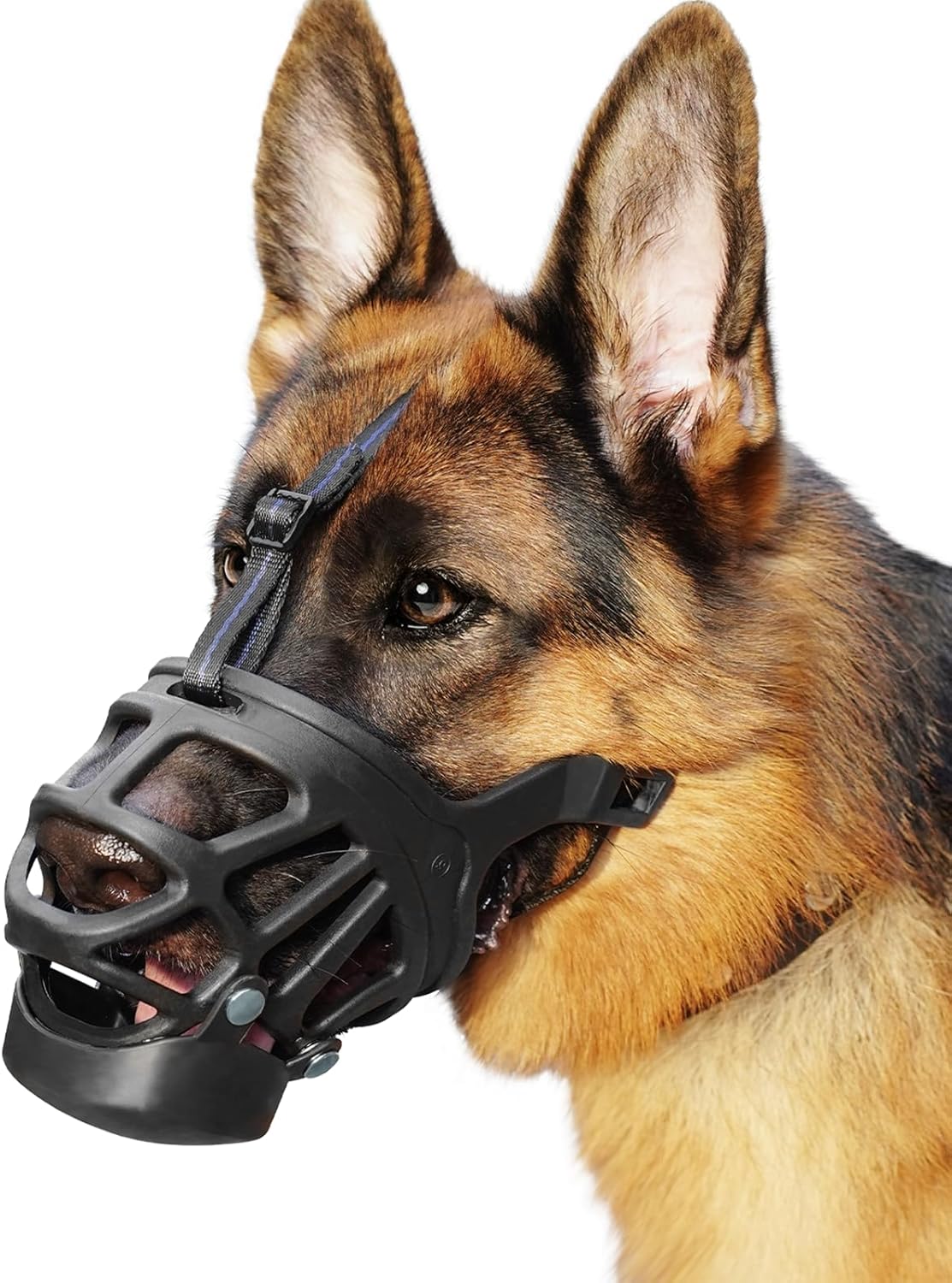 BARKLESS Basket Muzzle for Large Dogs, Humane Muzzle to Prevent Biting and Scavenging, Snap-on