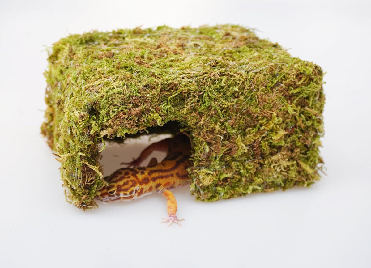 Leopard Gecko Tank Accessories, Cute Reptile Hideout Cave, Essential Tank Terrarium Habitat Decor