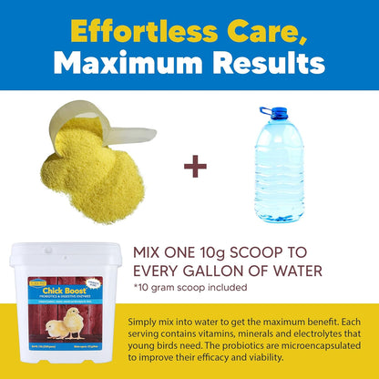 Equerry's Flock PRO Chick Boost Probiotic - Probiotics, Vitamins, Minerals and Electrolytes for