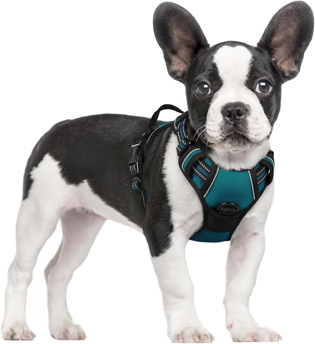 rabbitgoo Dog Harness No Pull with 2 Leash Clips, Adjustable Soft Padded, Reflective Oxford No