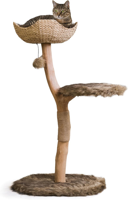 Wooden Cat Tree Tower, Modern Single Branch Cat Condo, Wood Cat Tree, Cat Climbing, Furniture for