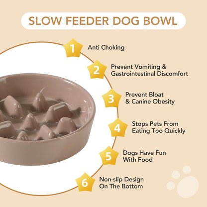 Ceramic Raised Slow Feeder Dog Bowl Set, Elevated 6.1inch Bowl and 7.3inch Slow Pet Food Dish with
